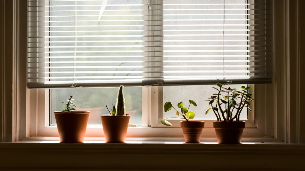 Motorised Roller Blinds