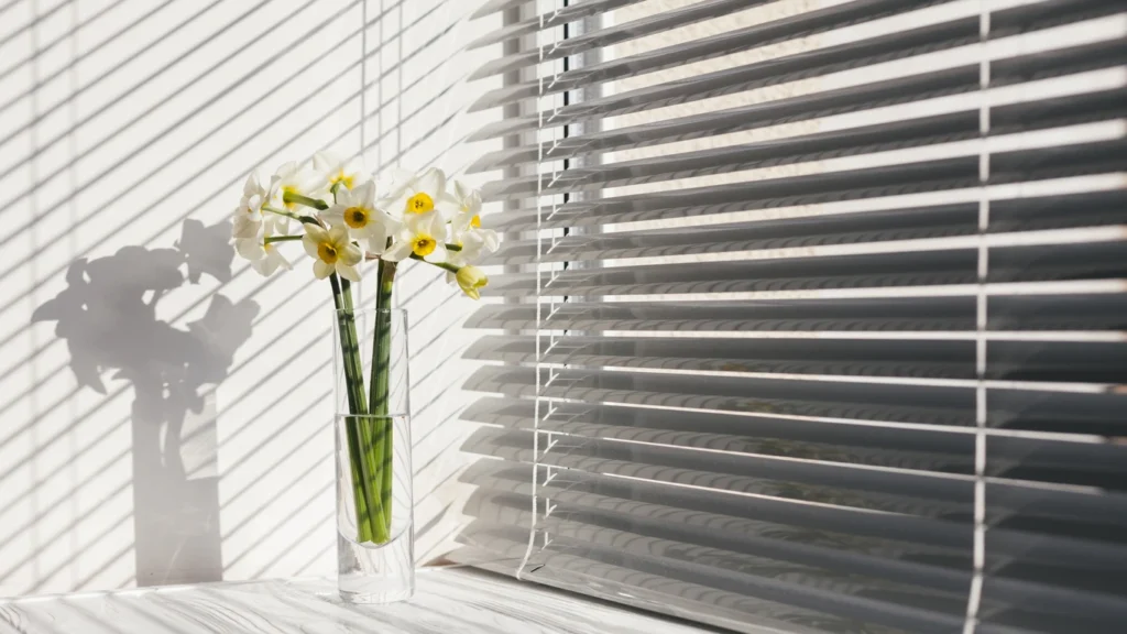 Motorised Roller Blinds